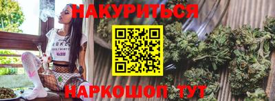 гидра Можга
