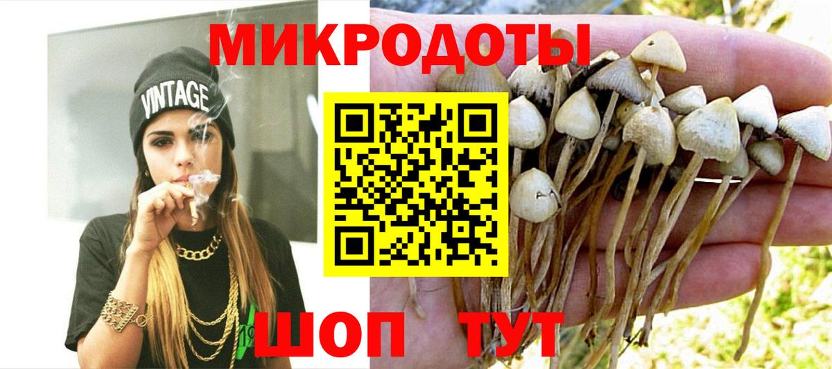 Псилоцибиновые грибы Cubensis Черкесск