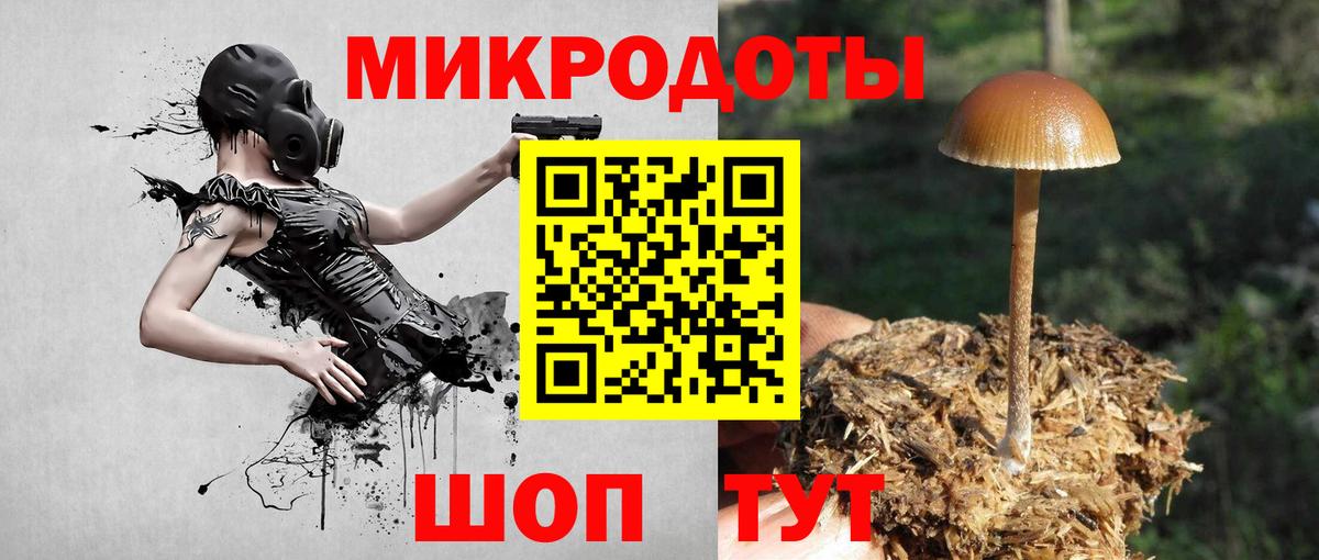 Псилоцибиновые грибы Psilocybe  Вход с VPN  Псилоцибиновые грибы GOLDEN TEACHER  где найти наркотики  Черкесск 